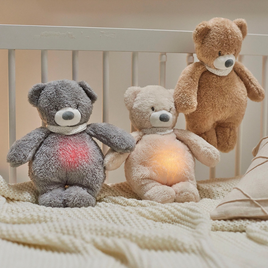 Nattou - Snuggle buddy with a melody and light SLEEPY BEAR 4in1 brown