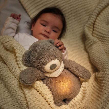 Nattou - Snuggle buddy with a melody and light SLEEPY BEAR 4in1 brown