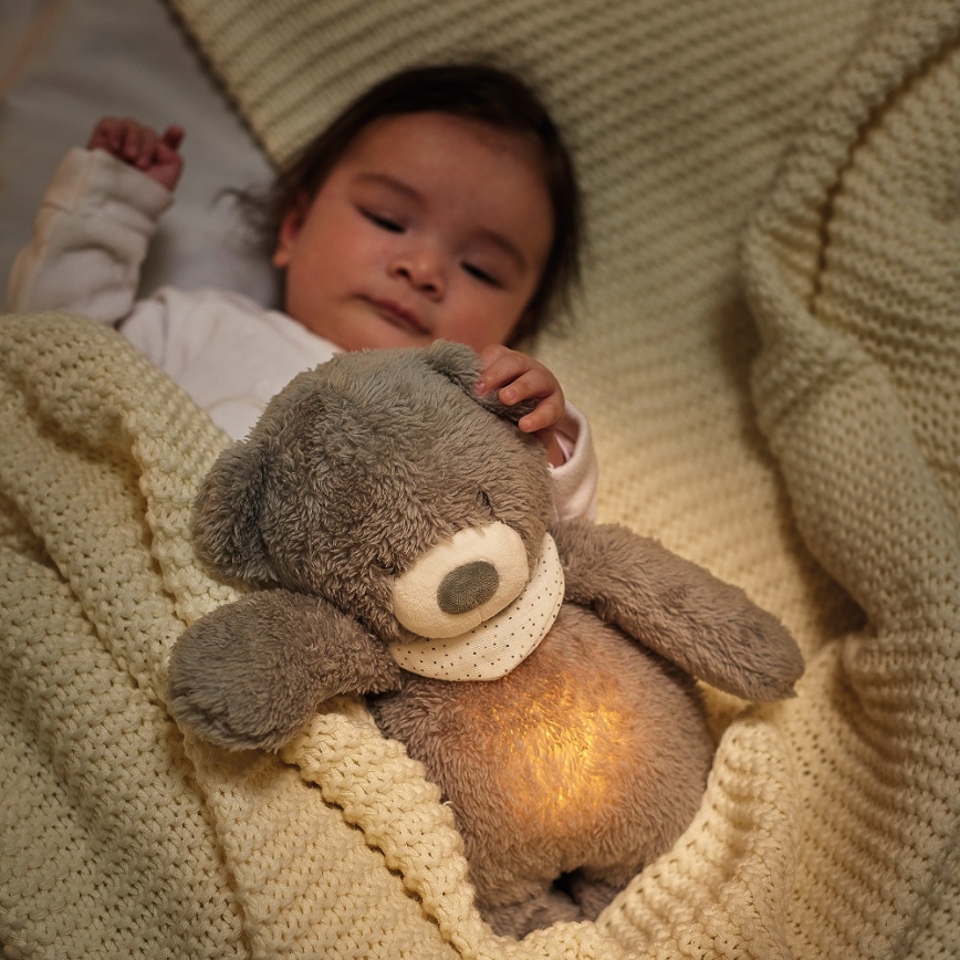 Nattou - Snuggle buddy with a melody and light SLEEPY BEAR 4in1 brown