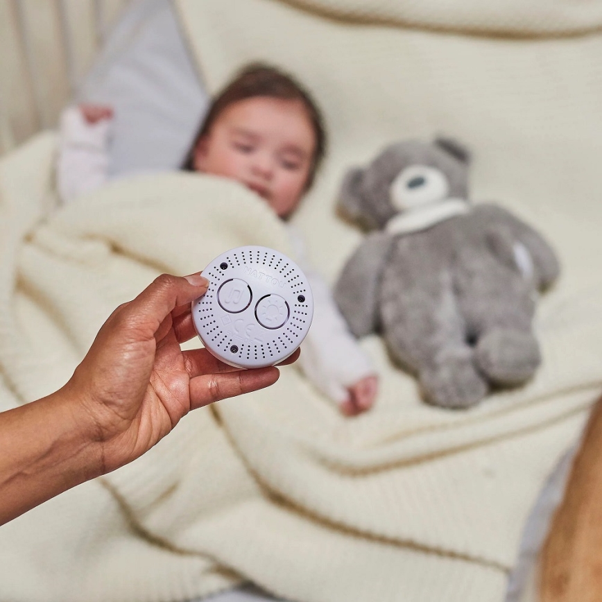 Nattou - Snuggle buddy with a melody and light SLEEPY BEAR 4in1 grey