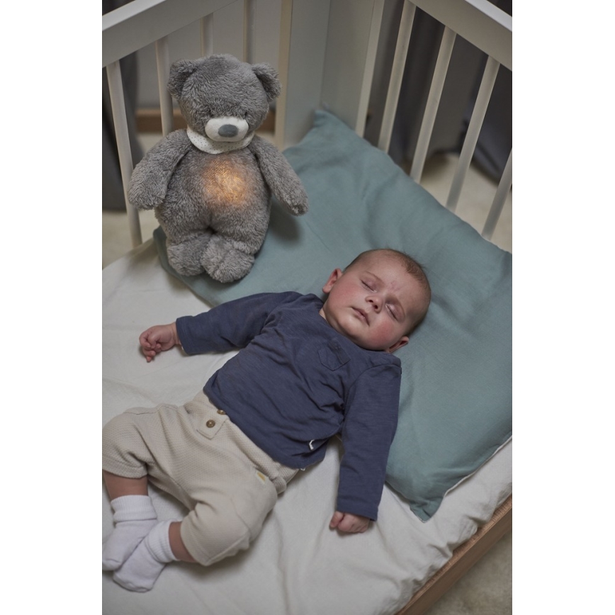 Nattou - Snuggle buddy with a melody and light SLEEPY BEAR 4in1 grey