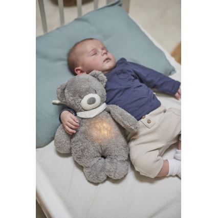 Nattou - Snuggle buddy with a melody and light SLEEPY BEAR 4in1 grey