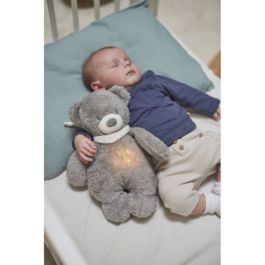 Nattou - Snuggle buddy with a melody and light SLEEPY BEAR 4in1 grey