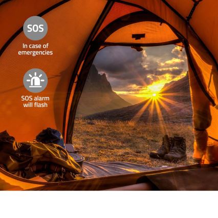 DAB+/FM hand-crank radio with solar panel and 5V/2500 mAh LED flashlight green/black