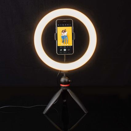 LED Dimmable lamp on a tripod with a holder for vlogging LED/6W/USB 2700-6700K