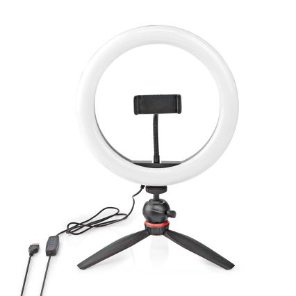 LED Dimmable lamp on a tripod with a holder for vlogging LED/6W/USB 2700-6700K