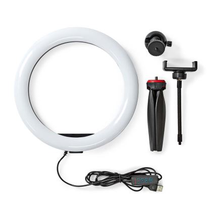 LED Dimmable lamp on a tripod with a holder for vlogging LED/6W/USB 2700-6700K