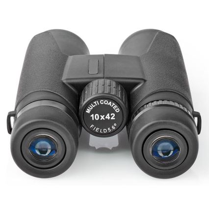 Binocular binoculars 10x42