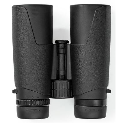 Binocular binoculars 10x42