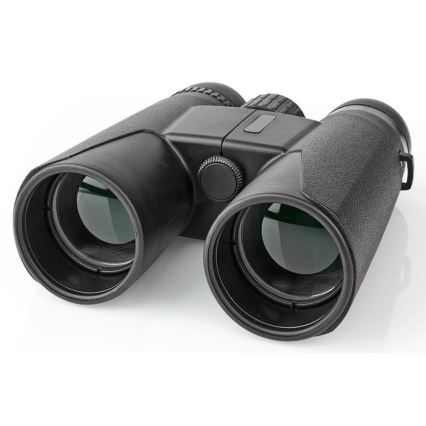 Binocular binoculars 10x42