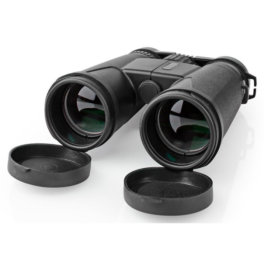 Binocular binoculars 10x42