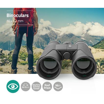 Binocular binoculars 10x42