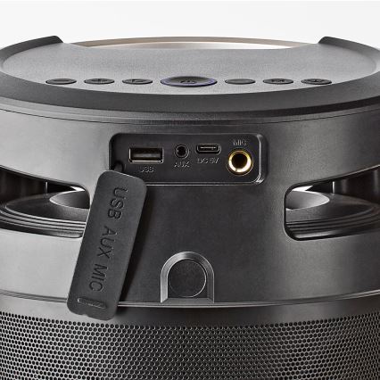 LED Rechargeable speaker 210W/4400 mAh IPX5