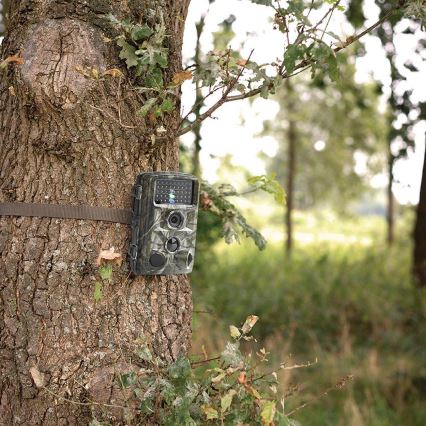 Camera trap with sensor 24MP Full HD 8xAA IP66