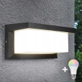 NEELY LED RGBW dimmable outdoor wall light 1x E27/9W/230V 2700-6500K IP54 Wi-Fi anthracite