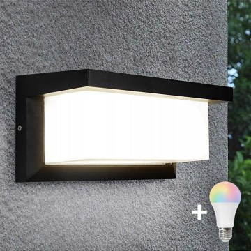 NEELY LED RGBW Dimmable Outdoor Wall Light 1xE27/12W/230V 2700-6500K IP54 Black