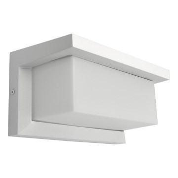 NEELY Outdoor Wall Light 1x E27/60W/230V IP54 White