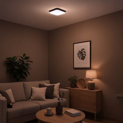 NEMO LED Ceiling Light, 11W/230V, 26x26 cm, Black