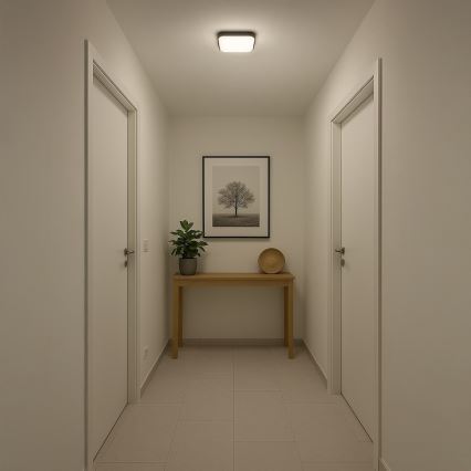 NEMO LED Ceiling Light, 11W/230V, 26x26 cm, Black