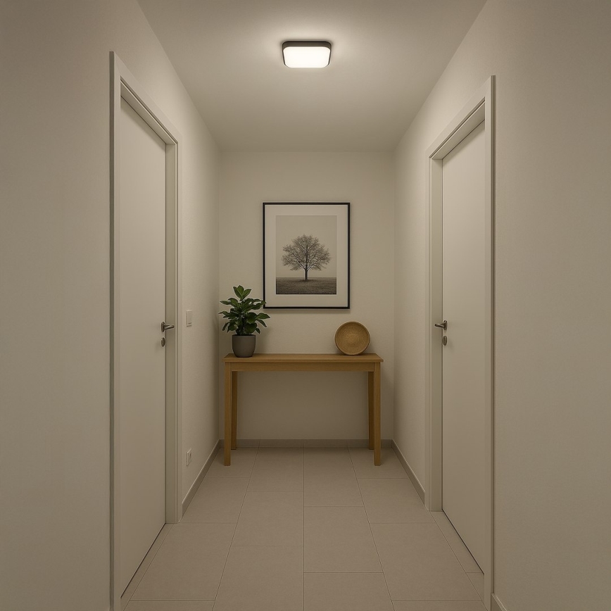 NEMO LED Ceiling Light, 11W/230V, 26x26 cm, Black