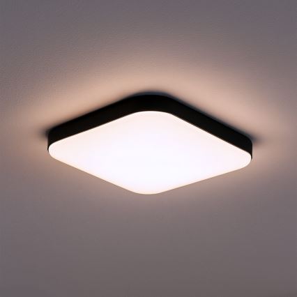 NEMO LED Ceiling Light, 11W/230V, 26x26 cm, Black