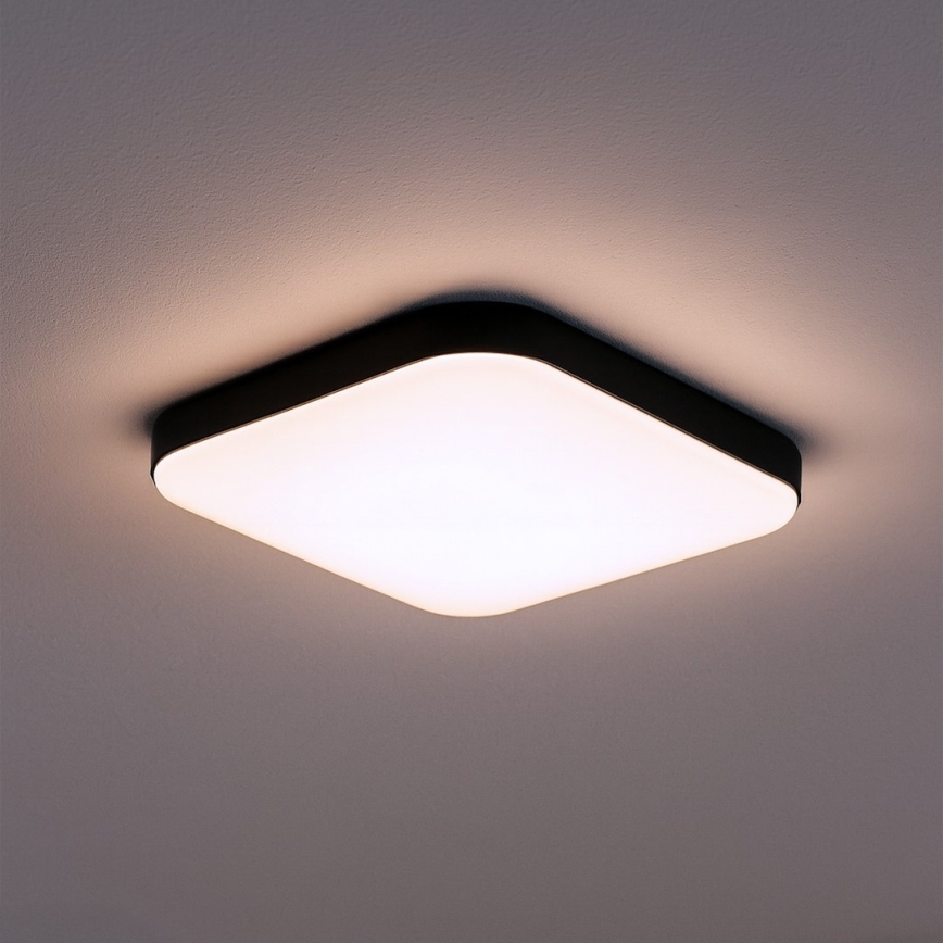 NEMO LED Ceiling Light, 11W/230V, 26x26 cm, Black