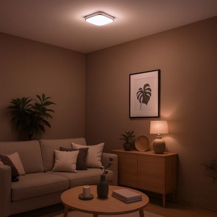 NEMO LED Ceiling Light, 11W/230V, 26x26 cm, Polished Chrome