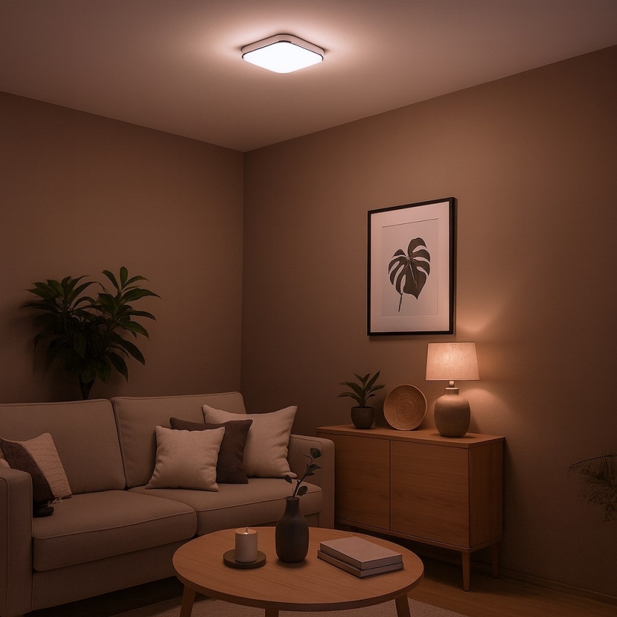 NEMO LED Ceiling Light, 11W/230V, 26x26 cm, Polished Chrome