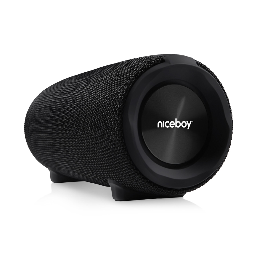 Niceboy Titan 4 - LED Wireless speaker with a microphone and power bank function 50W/4000 mAh IPX7 black