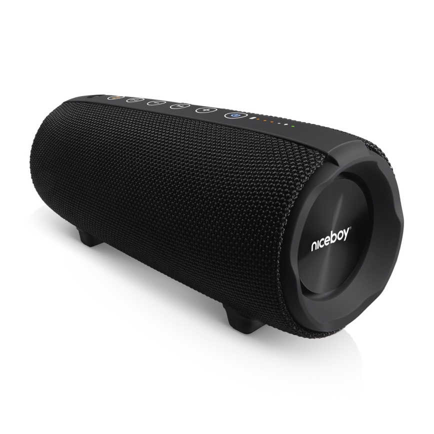 Niceboy Titan 4 - LED Wireless speaker with a microphone and power bank function 50W/4000 mAh IPX7 black