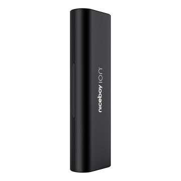 Niceboy - Travel case for toothbrushes ION Sonic black