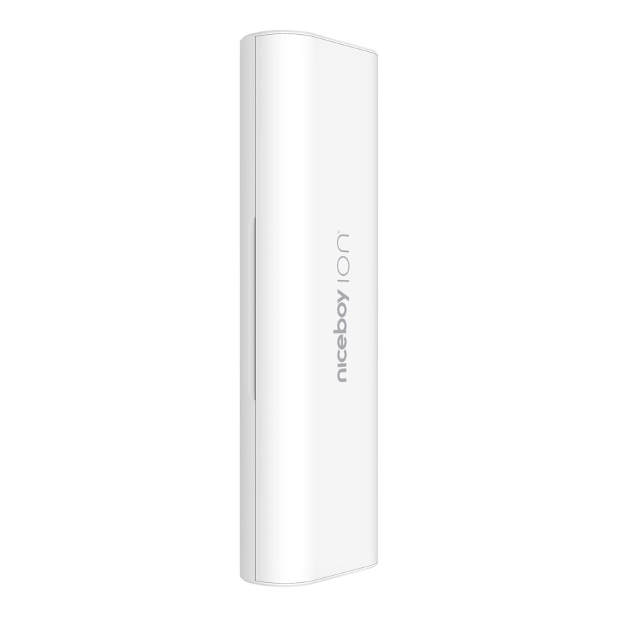 Niceboy - Travel case for toothbrushes ION Sonic white