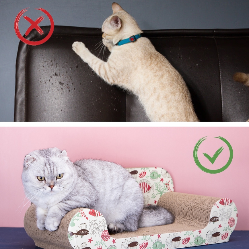 Nobleza - Cat Scratching Post