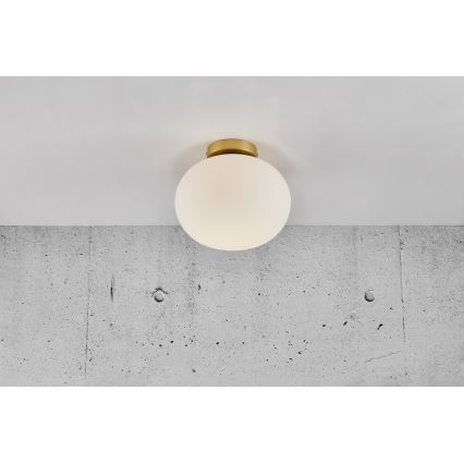 Nordlux - Ceiling light ALTON 1xE27/25W/230V