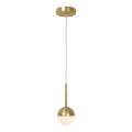 Nordlux - CONTINA Pendant Light on Cable 1xG9/5W/230V Brass