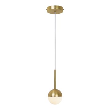 Nordlux - CONTINA Pendant Light on Cable 1xG9/5W/230V Brass