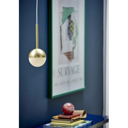 Nordlux - CONTINA Pendant Light on Cable 1xG9/5W/230V Brass