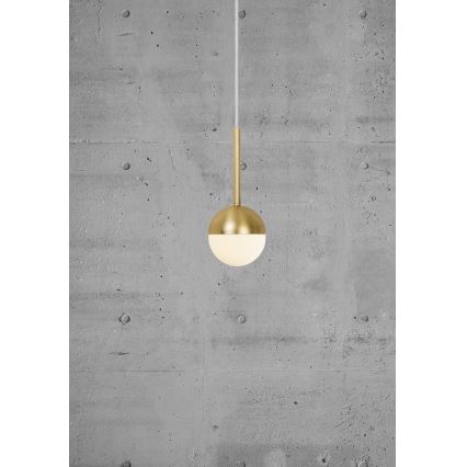 Nordlux - CONTINA Pendant Light on Cable 1xG9/5W/230V Brass