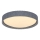Nordlux - CORATO Ceiling Light 3x E14/15W/230V Ø 52 cm