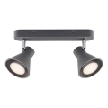 Nordlux - EIK Spotlight 2xGU10/35W/230V Grey