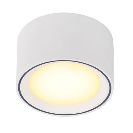 Nordlux - FALLON Dimmable LED Spotlight, 5.5W/230V, White