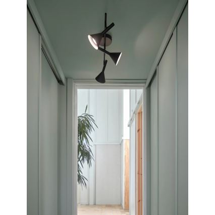 Nordlux - KELVIS 3x GU10/12W/230V Spotlight, Black