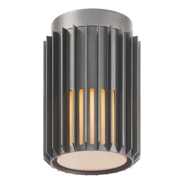 Nordlux - Outdoor ceiling light ALUDRA 1xE27/15W/230V anthracite