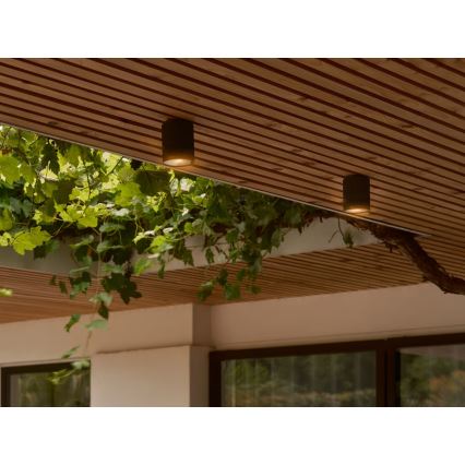 Nordlux - Outdoor ceiling light KYKLOP 1xGU10/15W/230V IP54 black