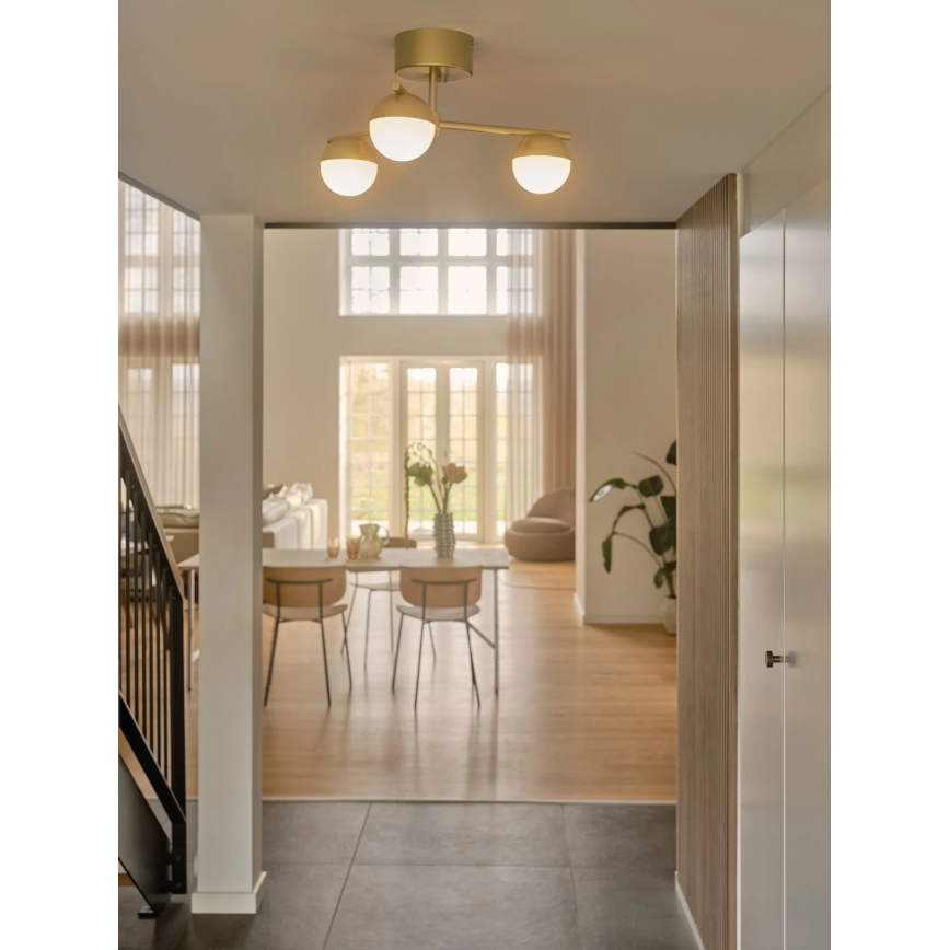 Nordlux - Surface-mounted chandelier CONTINA 3xG9/5W/230V brass