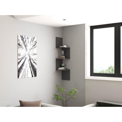 NUVIA Anthracite Shelf