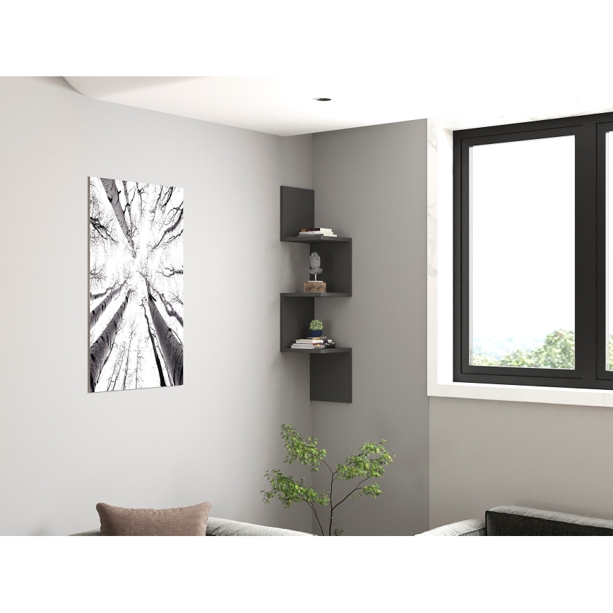 NUVIA Anthracite Shelf