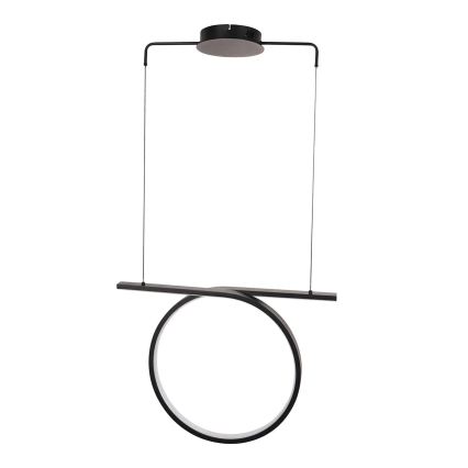 ODETTA LED cable pendant light, 30W, 230V, 4000K, black
