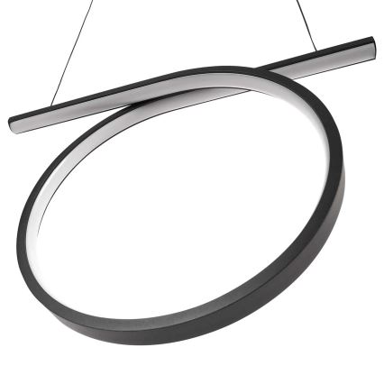 ODETTA LED cable pendant light, 30W, 230V, 4000K, black