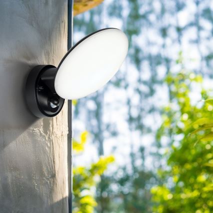 LED Outdoor Wall Light with Motion and Dusk Sensor OLAF LED/10W/230V IP44 black